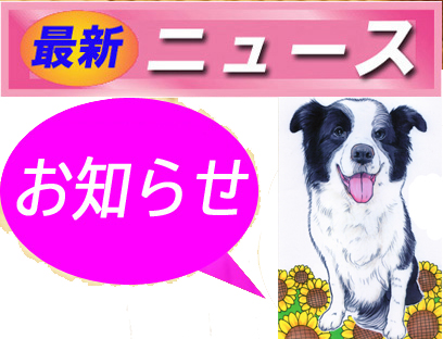 �ŐV�j���[�X